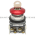 Allen Bradley 800T-E1545M6A Push Button Product Image