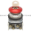 Allen Bradley 800T-E1554M6A Push Button Product Image