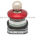 Allen Bradley 800T-E15M6 Push Button Product Image