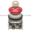 Allen Bradley 800T-E2435M6A Push Button Product Image