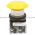 Allen Bradley 800T-FXJ9A1 Pushbutton Assembly Product Image