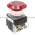 Allen Bradley 800T-FXJEPH16RA1 Push Button Product Image