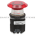 Allen Bradley 800T-FXJP16RA2 Illuminated Push Button Product Image