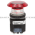Allen Bradley 800T-FXJPH16RA4 Pushbutton Product Image
