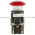 Allen Bradley 800T-FXJQ24RA5 Pushbutton Product Image