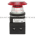 Allen Bradley 800T-FXJQH2R Push Button Product Image