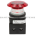 Allen Bradley 800T-FXJQH2RA1 Pushbutton Illuminated Product Image