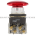 Allen Bradley 800T-FXJTQH24RA1 Pushbutton Product Image