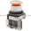 Allen Bradley 800T-FXQ10A Push Button Product Image