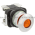 Allen Bradley 800T-FXQ10AA1 Push Button Product Image