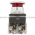 Allen Bradley 800T-FXQ11RA1 Push Button Product Image