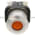 Allen Bradley 800T-FXQ24AA7 Pushbutton Switch Product Image