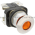 Allen Bradley 800T-FXQ24AD1 Push Button Product Image
