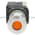 Allen Bradley 800T-FXQH2AA1 Pushbutton Product Image