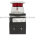 Allen Bradley 800T-FXQH2RA1 Pushbutton Product Image