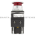 Allen Bradley 800T-FXQH2RG1 Pushbutton Switch Product Image