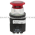 Allen Bradley 800T-FXTP16RD4 Push Button | Illuminated Red Product Image