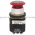 Allen Bradley 800T-FXTPH26RA1 Illuminated Push Button Product Image