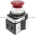 Allen Bradley 800T-FXTQH2RA PUSHBUTTON Product Image