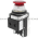 Allen Bradley 800T-FXTQH2RG1 Push Button Product Image