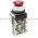 Allen Bradley 800T-FXTQH2RG1 Push Button Product Image