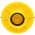Allen Bradley 800T-N208E Pushbutton Cap | Yellow Jumbo Non-Illuminated Product Image