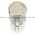 Allen Bradley 800T-N260 Replacement Lamp,Incandescent Product Image