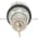 Allen Bradley 800T-N31KF4 Selector Switch Product Image