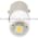 Allen Bradley 800T-N419W Lamp Product Image