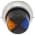 Allen Bradley 800T-N52XBXA Multicolored Lens Cap Product Image