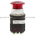 Allen Bradley 800T-PM16R Push Button Product Image