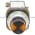 Allen Bradley 800T-QC224XAXA Cluster Pilot Light Product Image