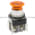 Allen Bradley 800T-QM12AD2 Push Button Product Image