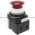 Allen Bradley 800T-QMH2R Push Button Product Image