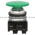 Allen Bradley 800TC-D1JA Pushbutton | Finger Safe Product Image