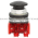 Allen Bradley 800TC-D2D2 Pushbutton | Finger Safe Product Image