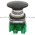 Allen Bradley 800TC-D2LD1 Pushbutton | Finger Safe Product Image