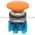 Allen Bradley 800TC-D3JBV Pushbutton | Finger Safe Product Image