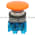 Allen Bradley 800TC-D3JBV Pushbutton | Finger Safe Product Image