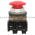 Allen Bradley 800TC-D6A Pushbutton | Finger Safe Product Image