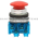 Allen Bradley 800TC-D6AV Pushbutton | Finger Safe Product Image