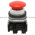 Allen Bradley 800TC-D6B Pushbutton | Finger Safe Product Image