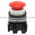 Allen Bradley 800TC-D6B Pushbutton | Finger Safe Product Image