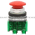 Allen Bradley 800TC-D6D1 Pushbutton | Finger Safe Product Image