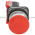 Allen Bradley 800TC-D6D2 Pushbutton | Finger Safe Product Image