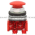 Allen Bradley 800TC-D6D2 Pushbutton | Finger Safe Product Image