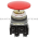 Allen Bradley 800TC-D6LFA Pushbutton | Finger Safe Product Image