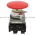 Allen Bradley 800TC-D6LQB Pushbutton | Finger Safe Product Image