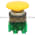 Allen Bradley 800TC-D9JD1 Pushbutton | Finger Safe Product Image