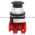 Allen Bradley 800TC-FX2D2 Pushbutton | Finger Safe Product Image